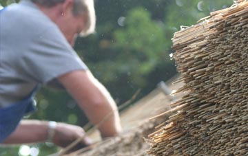 professional Hampton Wick thatchers