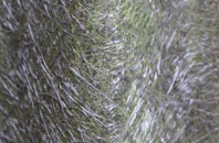 Hampton Wick fibreglass roof work